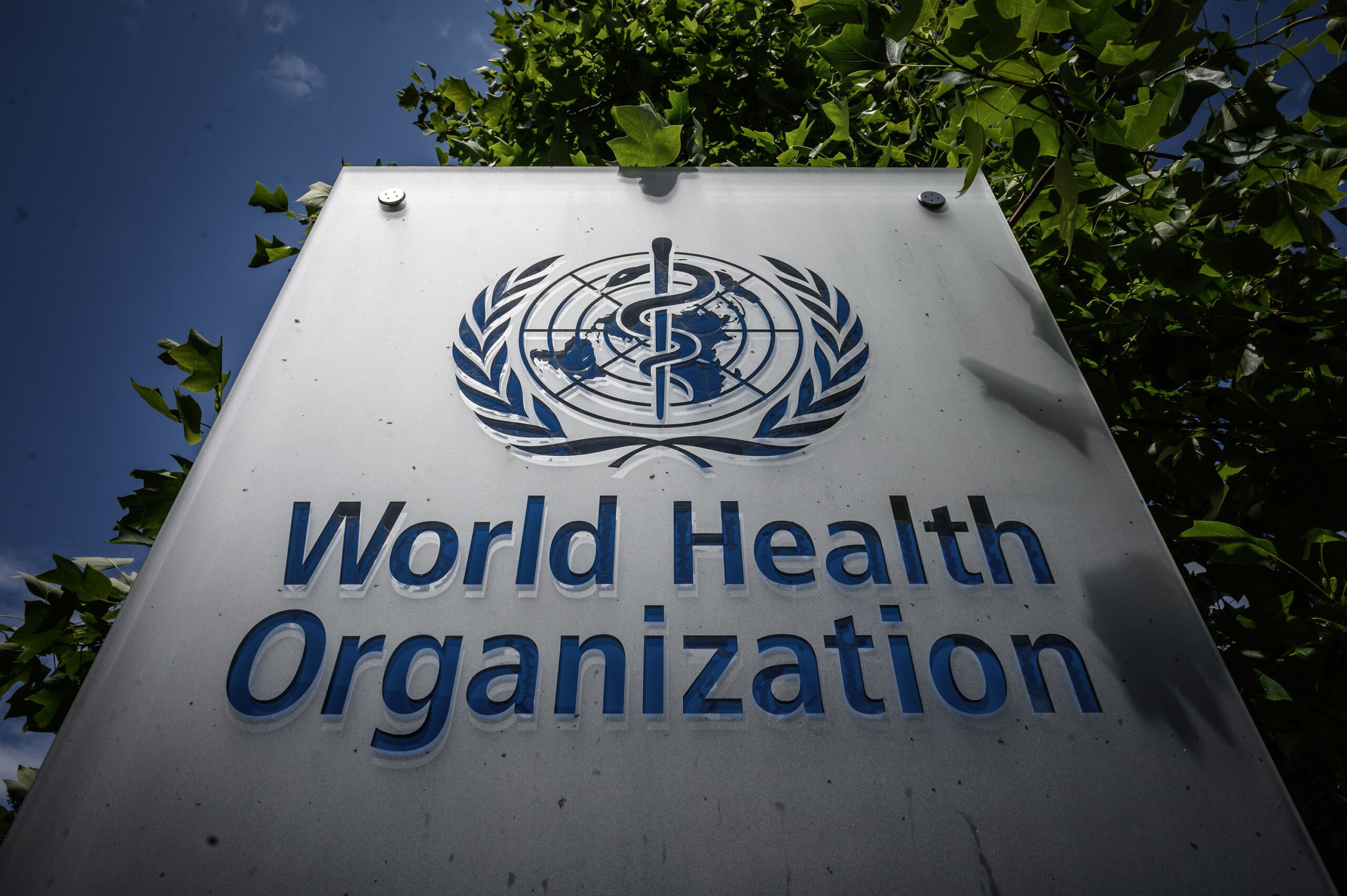 The World Health Organization is a threat to millions of children in the womb
