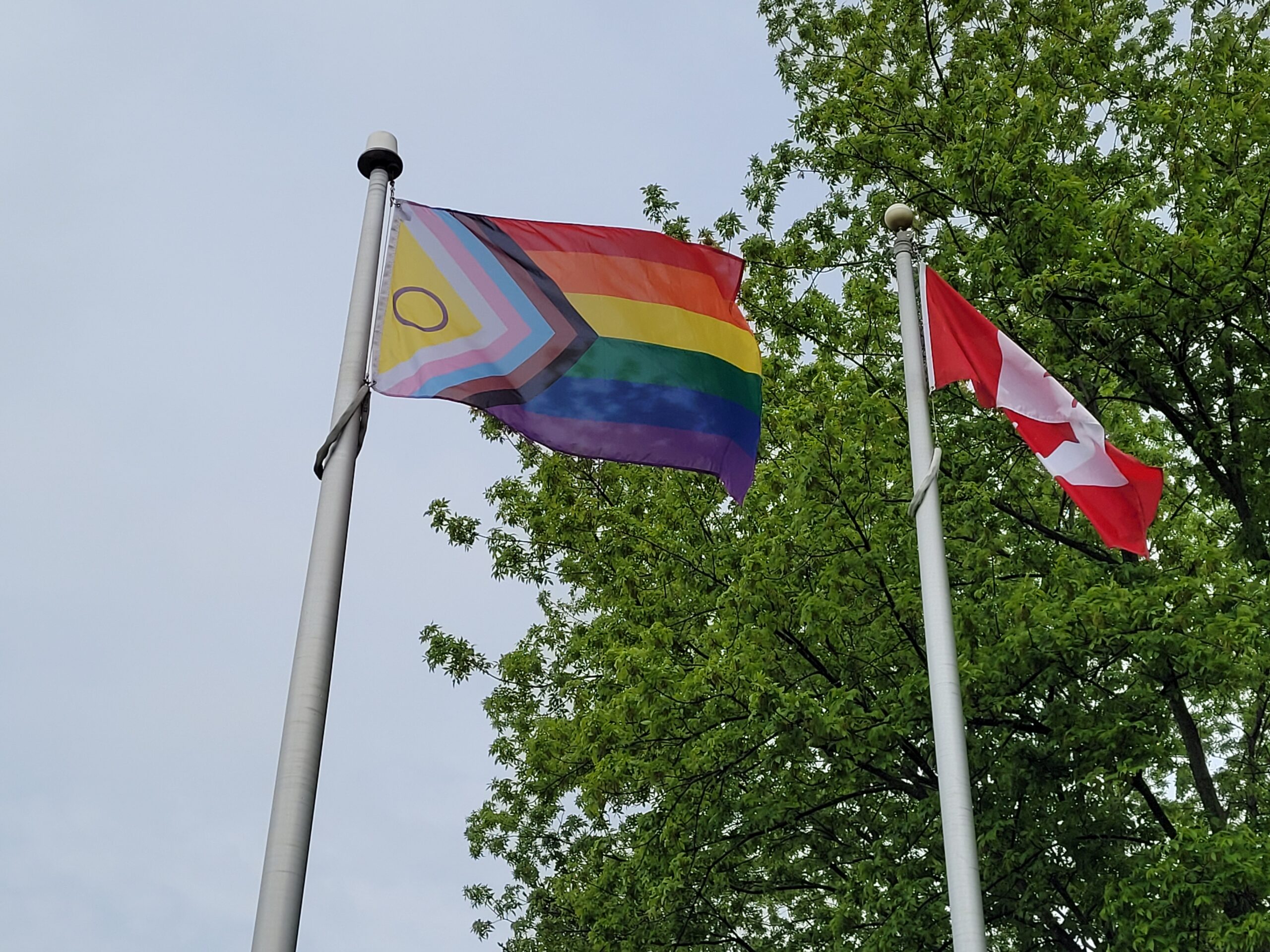 Canadian columnist calls for a "day of reckoning" for schools who don't fly the LGBT flag