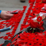 remembrance-day-poppies-tomb