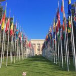 960px-United_Nations_Office_at_Geneva_Flags