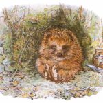 The conservatism of Beatrix Potter file-20260720-57-chcvz2